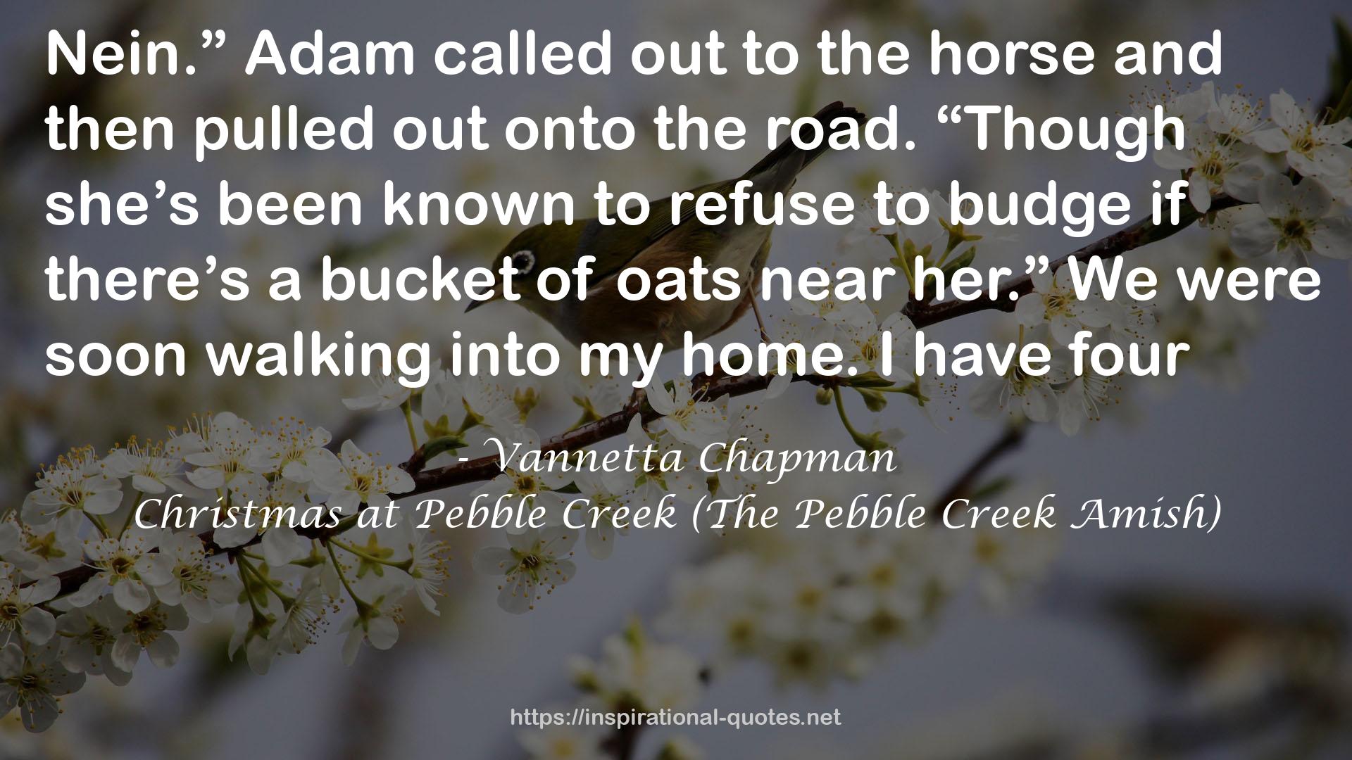 Christmas at Pebble Creek (The Pebble Creek Amish) QUOTES