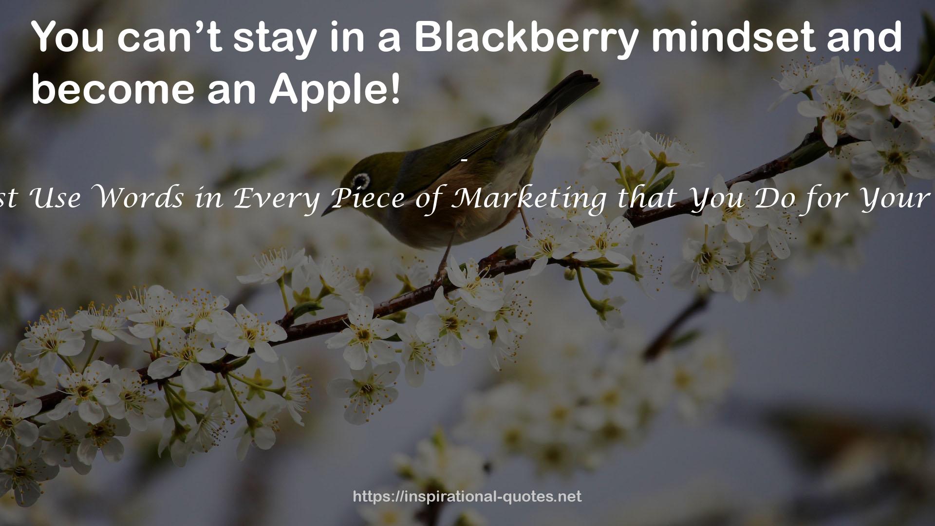 a Blackberry mindset  QUOTES