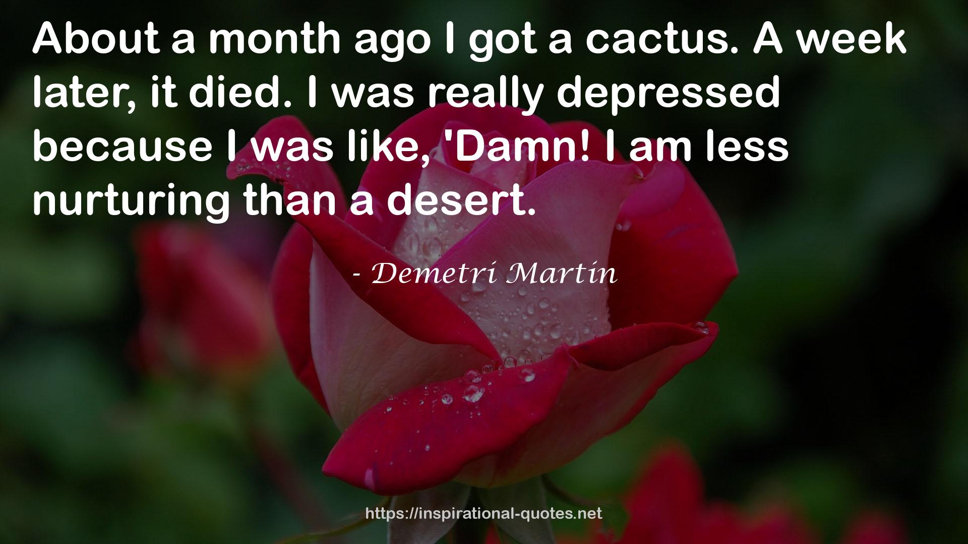 Demetri Martin QUOTES