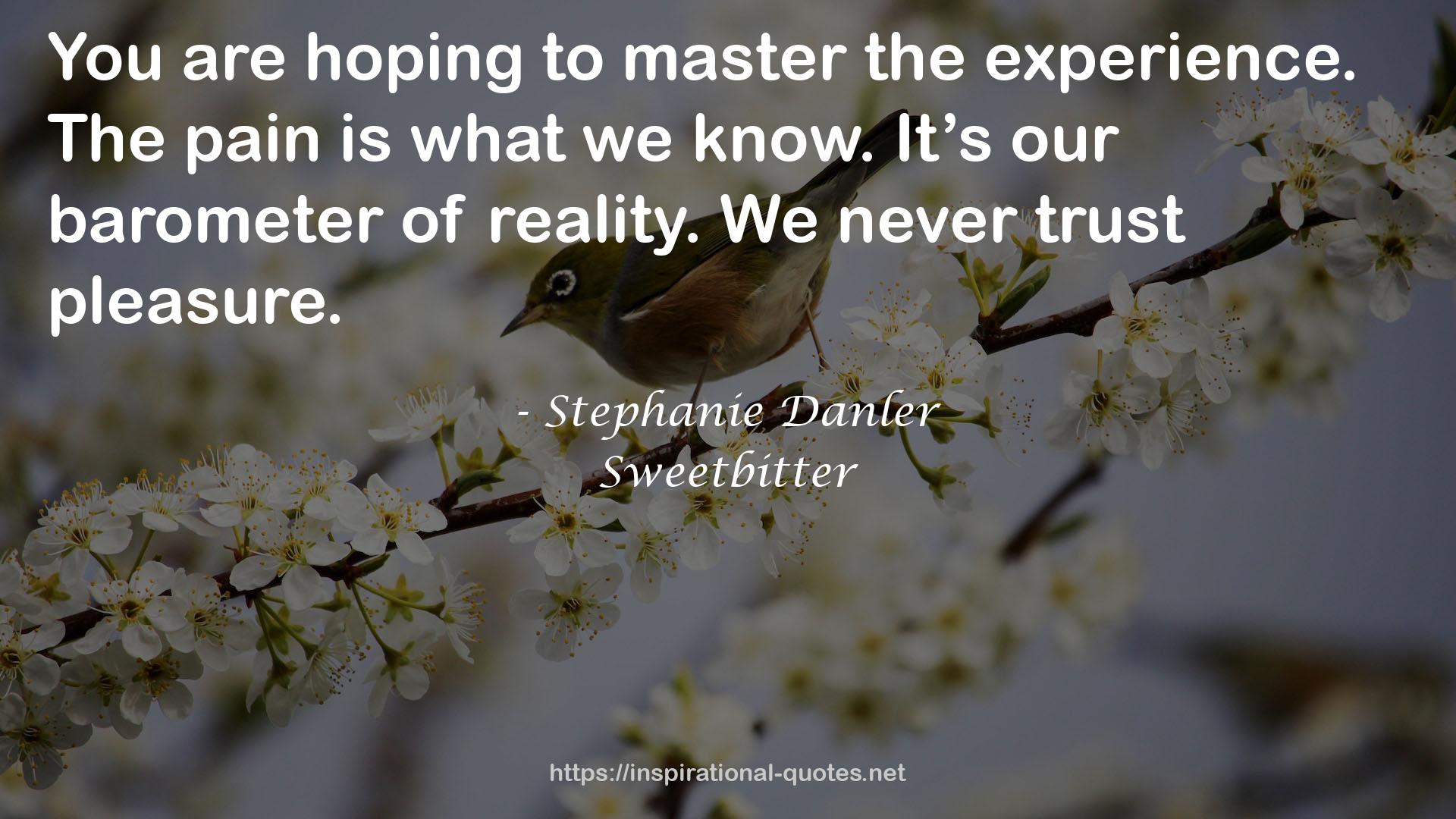 Stephanie Danler QUOTES