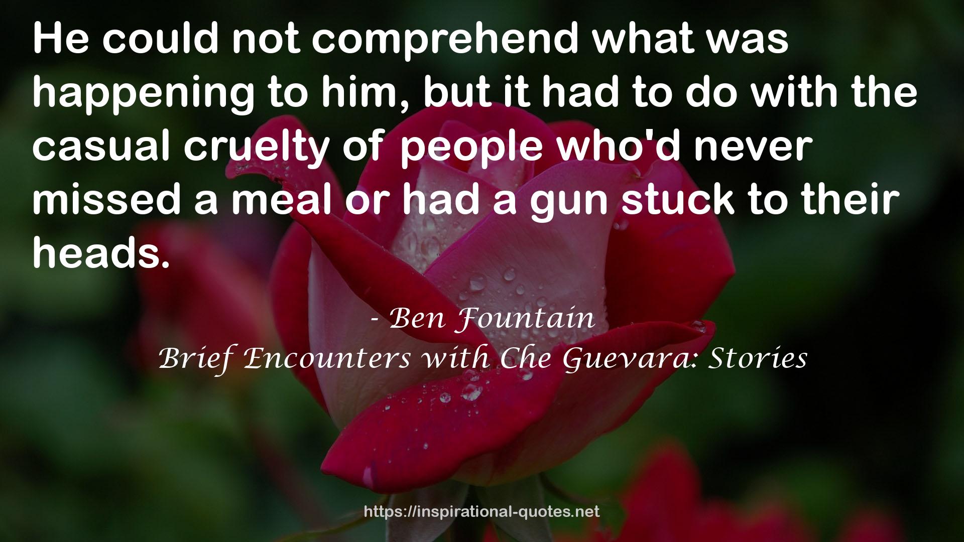 Brief Encounters with Che Guevara: Stories QUOTES