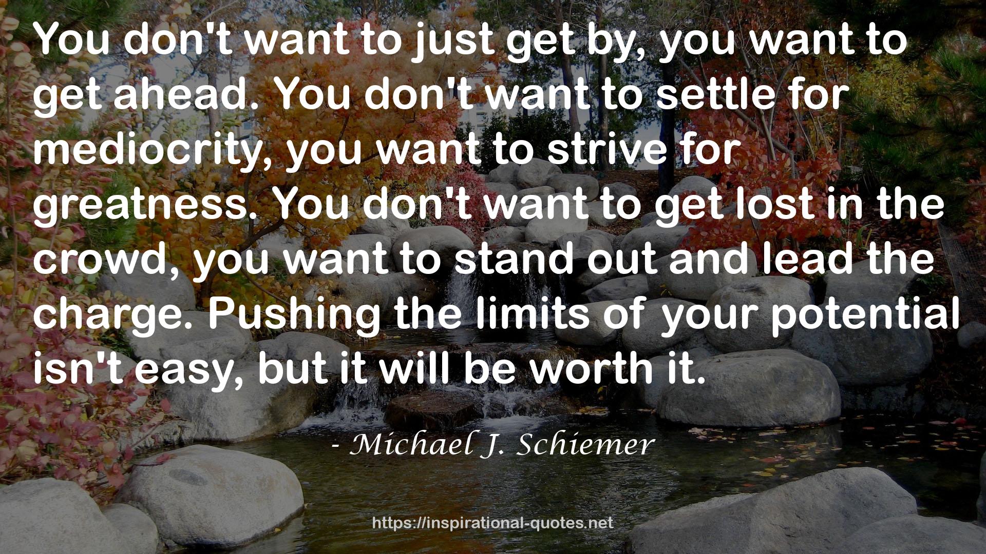 Michael J. Schiemer QUOTES