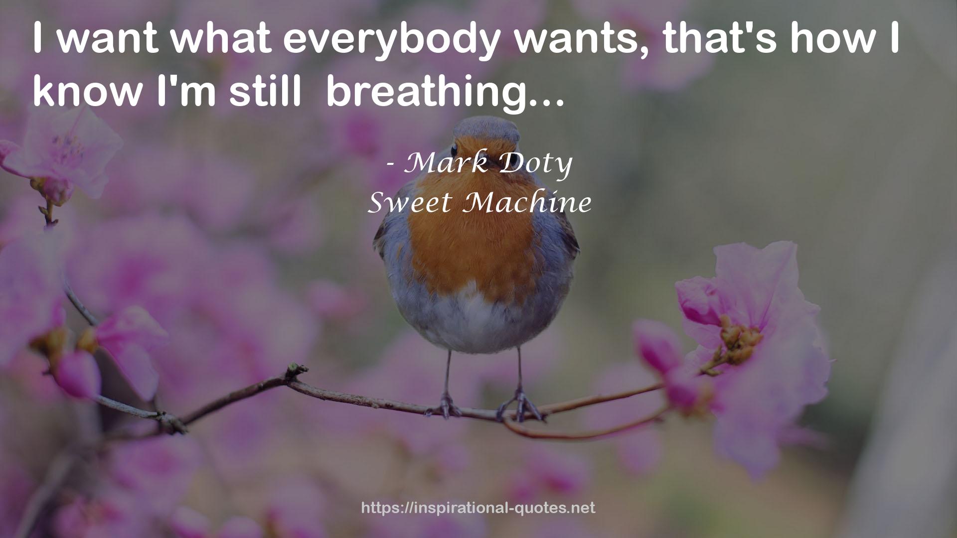 Sweet Machine QUOTES