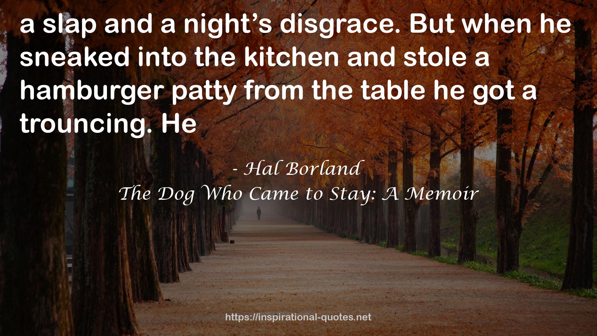 The Dog Who Came to Stay: A Memoir QUOTES