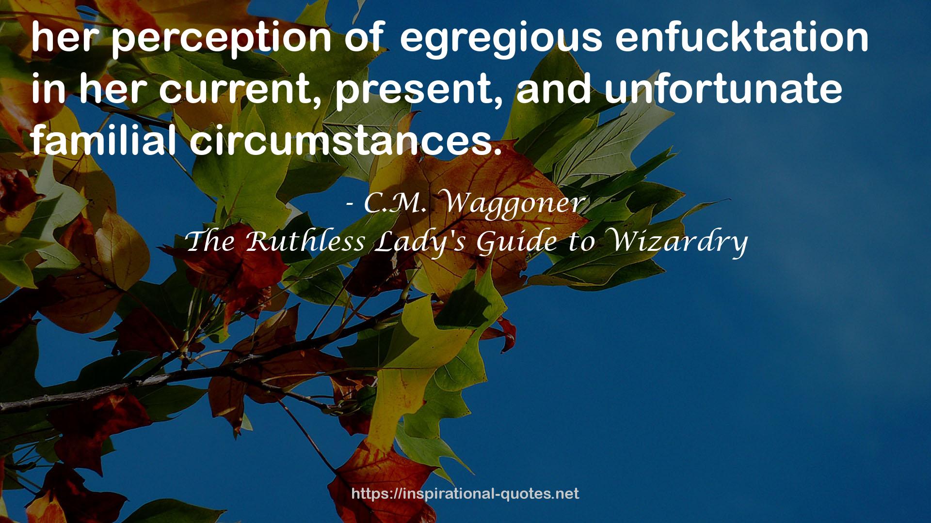 The Ruthless Lady's Guide to Wizardry QUOTES