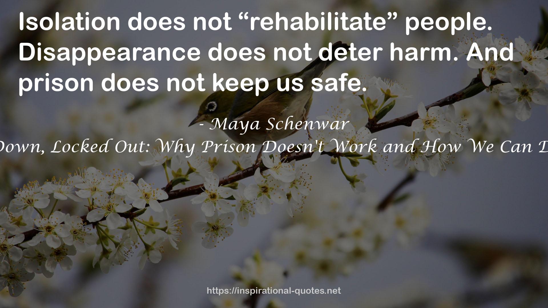 Locked Down, Locked Out: Why Prison Doesn't Work and How We Can Do Better QUOTES