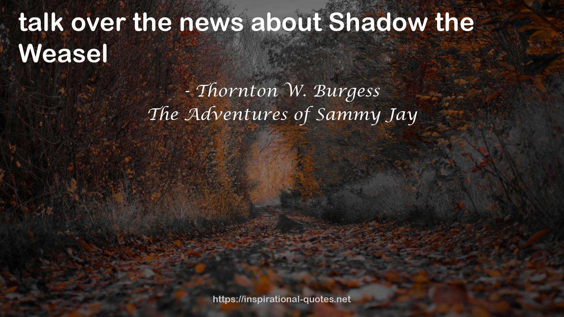 The Adventures of Sammy Jay QUOTES