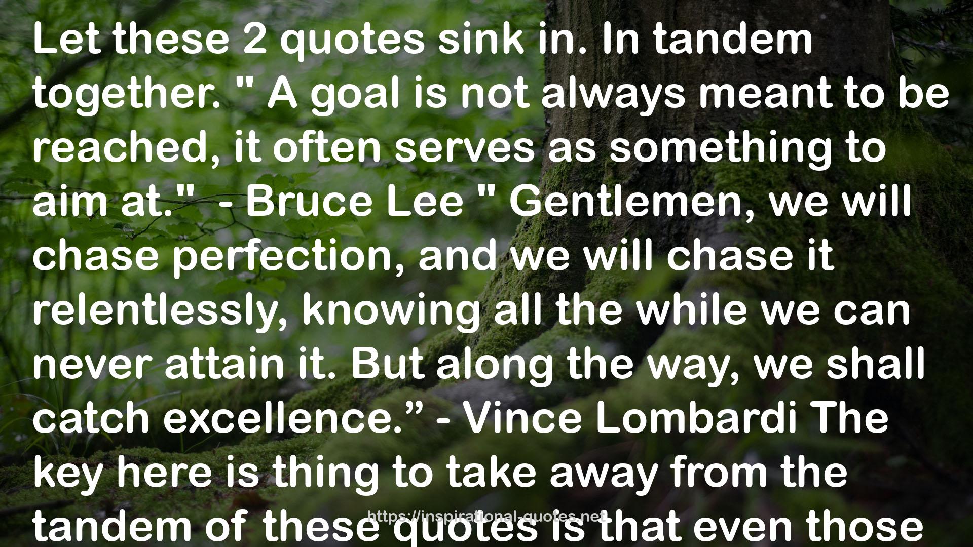 Vince Lombardi  QUOTES