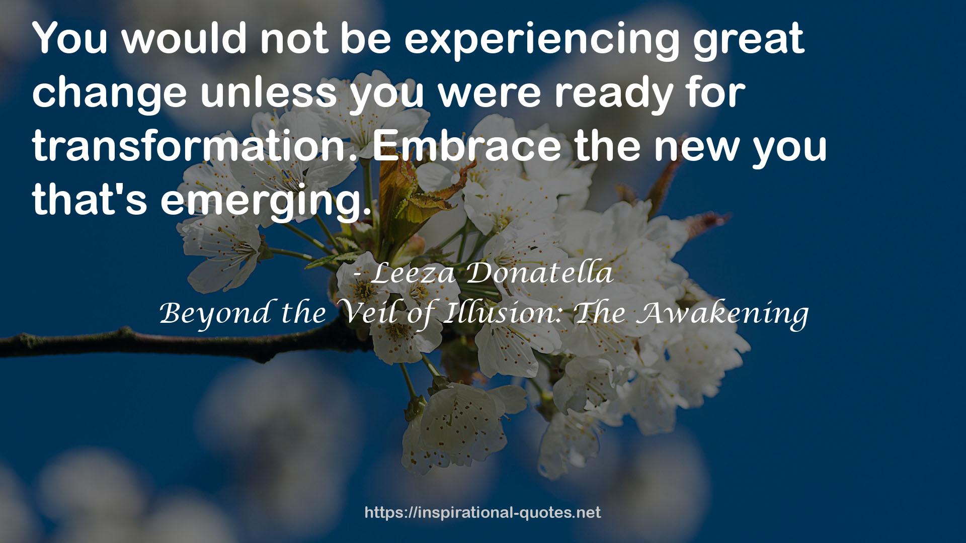 Beyond the Veil of Illusion: The Awakening QUOTES