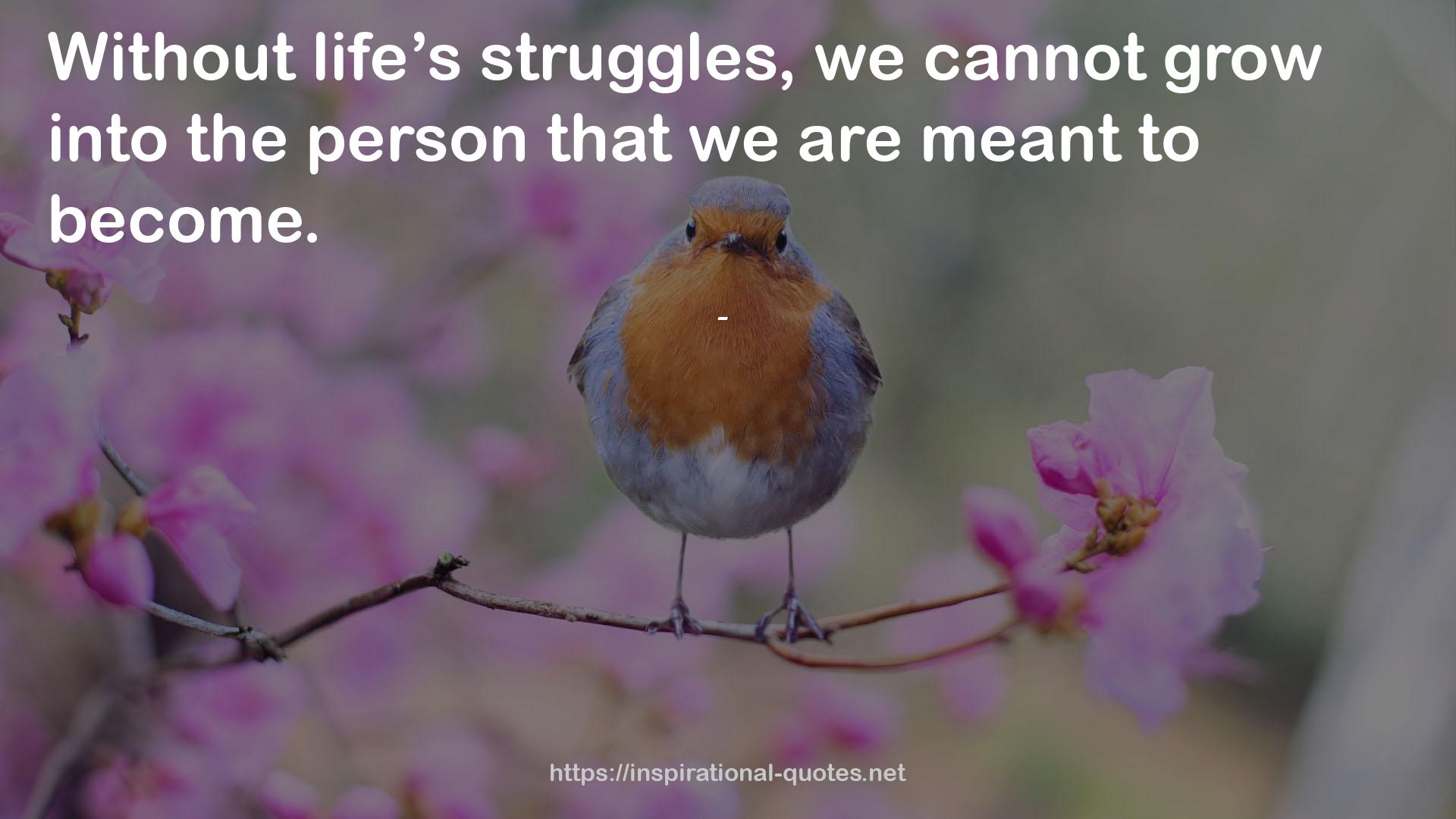 life’s struggles  QUOTES