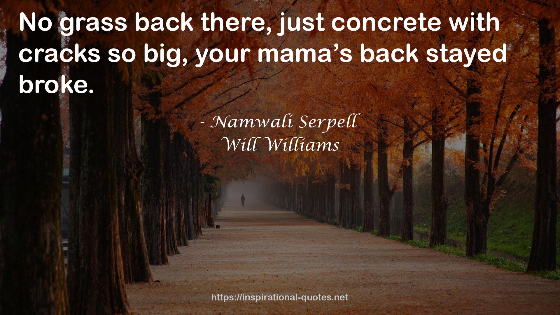 Will Williams QUOTES