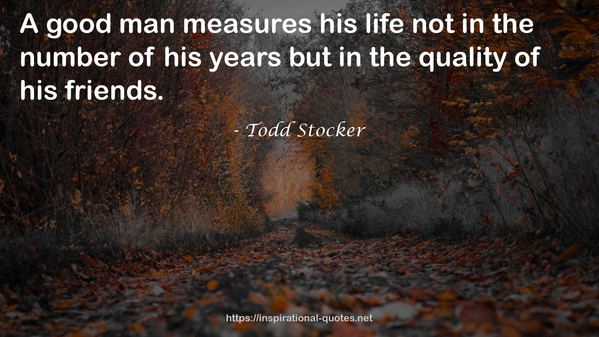 Todd Stocker QUOTES