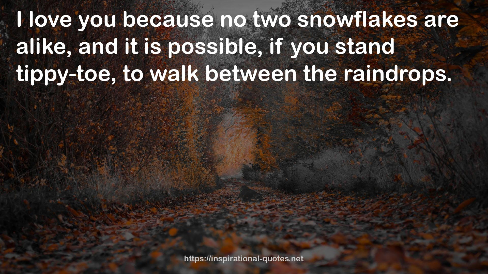 no two snowflakes  QUOTES