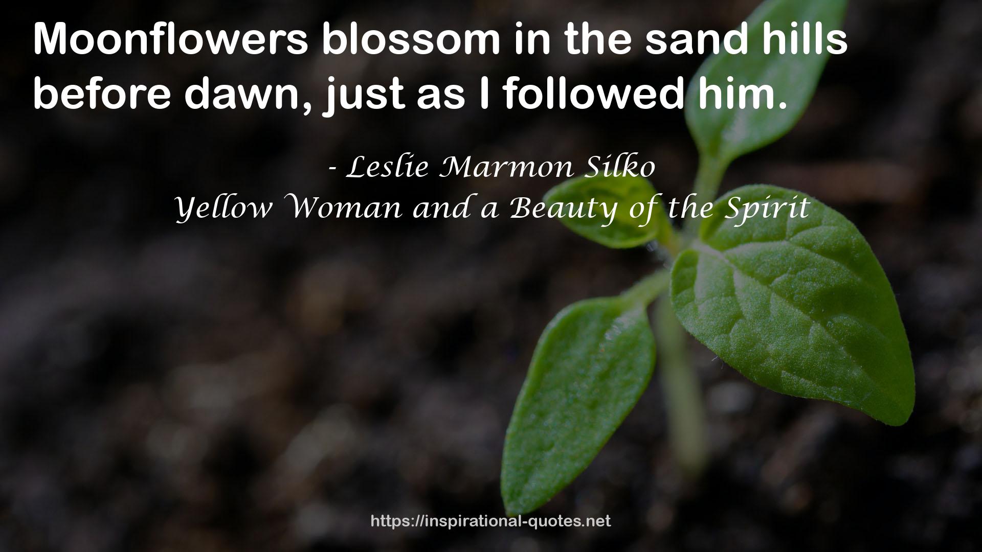 Yellow Woman and a Beauty of the Spirit QUOTES
