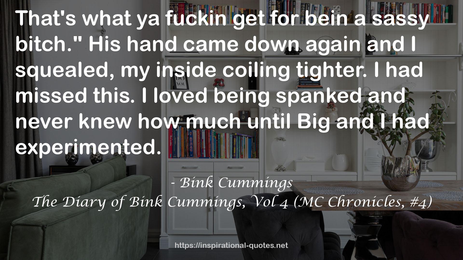 The Diary of Bink Cummings, Vol 4 (MC Chronicles, #4) QUOTES