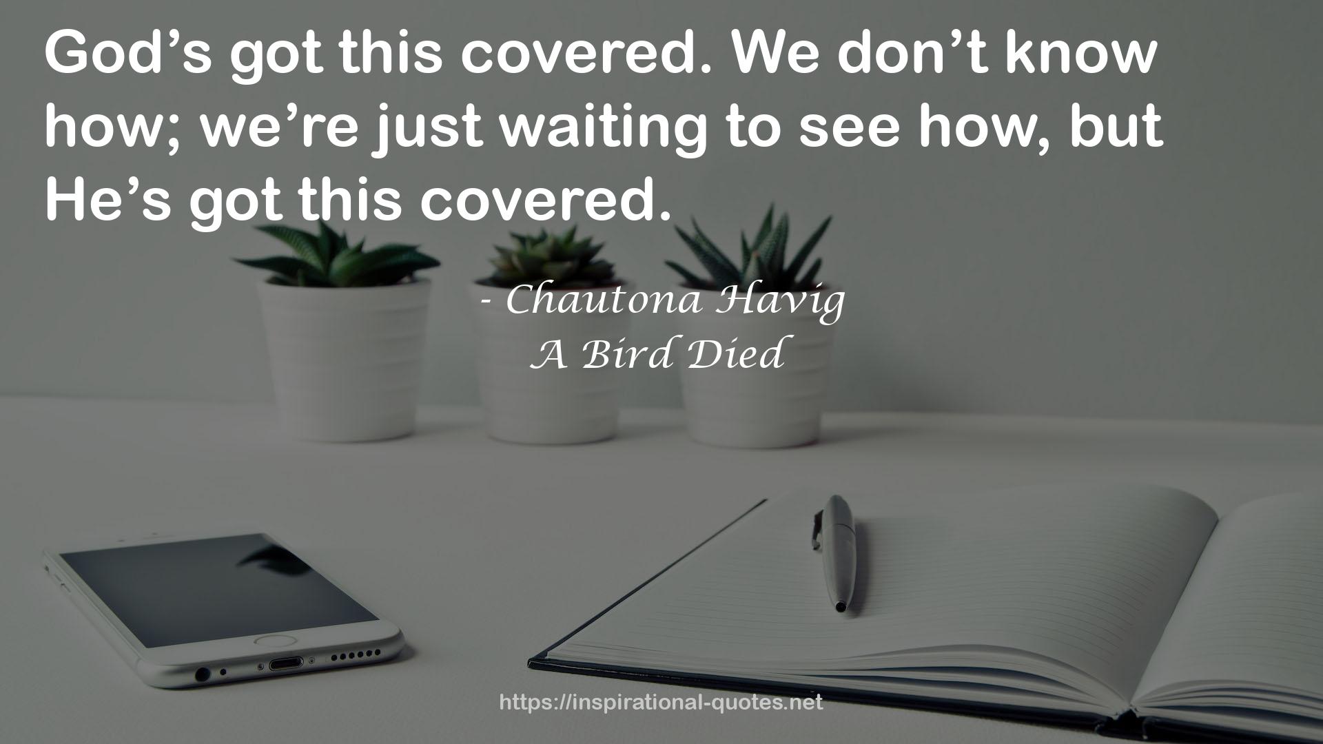 A Bird Died QUOTES