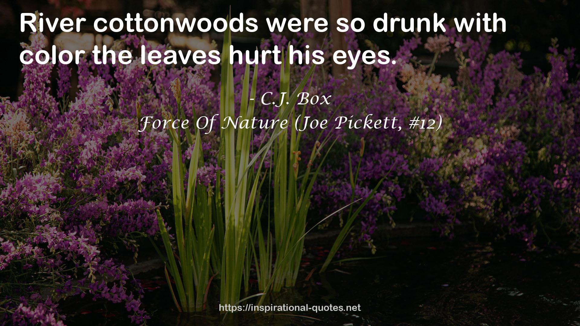 Force Of Nature (Joe Pickett, #12) QUOTES