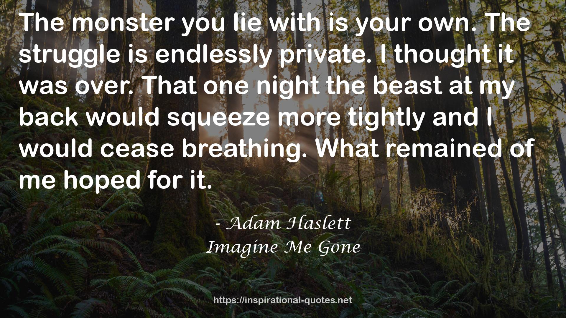 Adam Haslett QUOTES