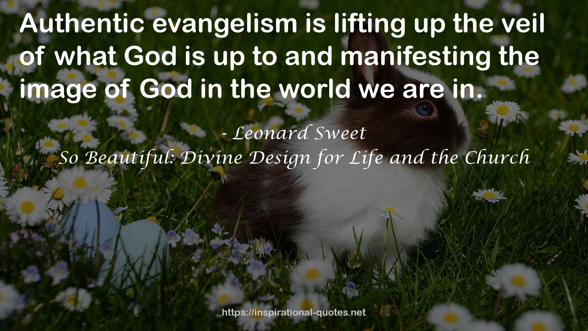 So Beautiful: Divine Design for Life and the Church QUOTES