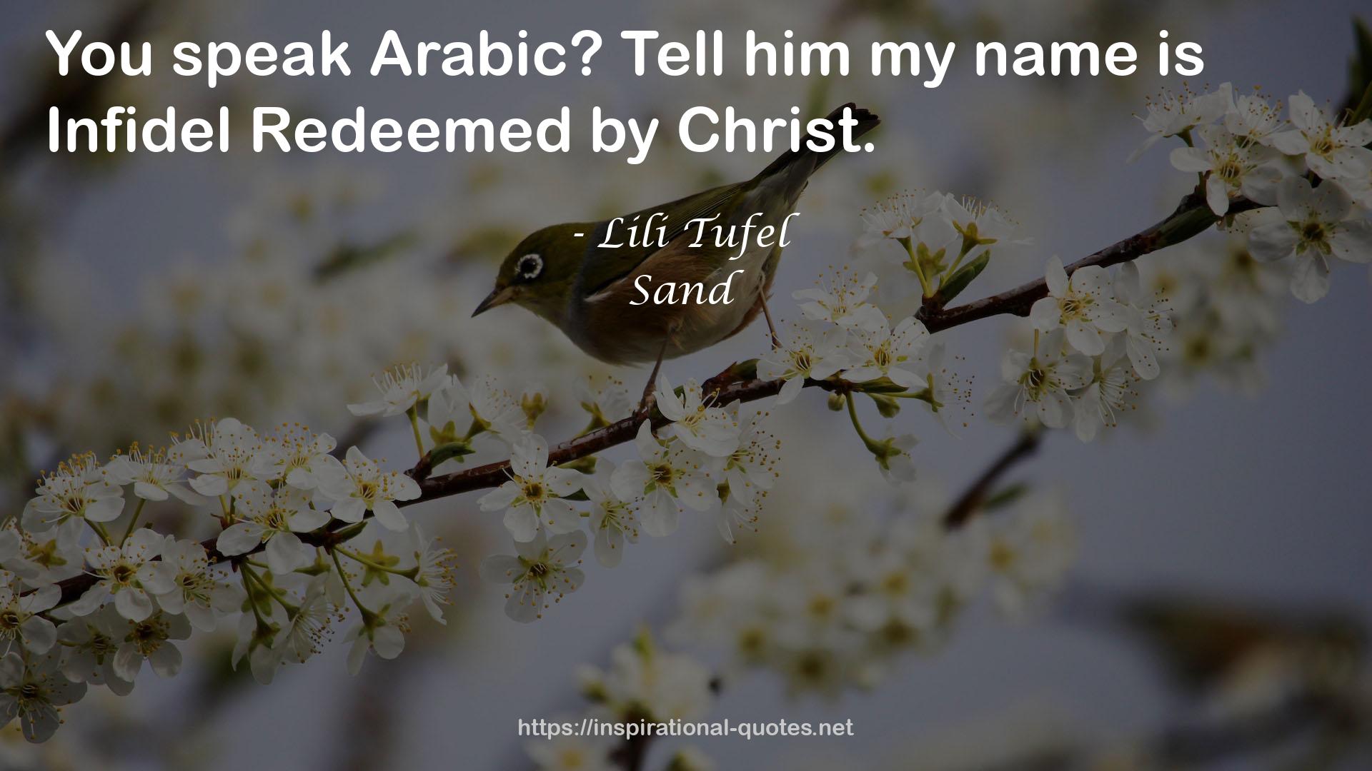 Infidel Redeemed  QUOTES