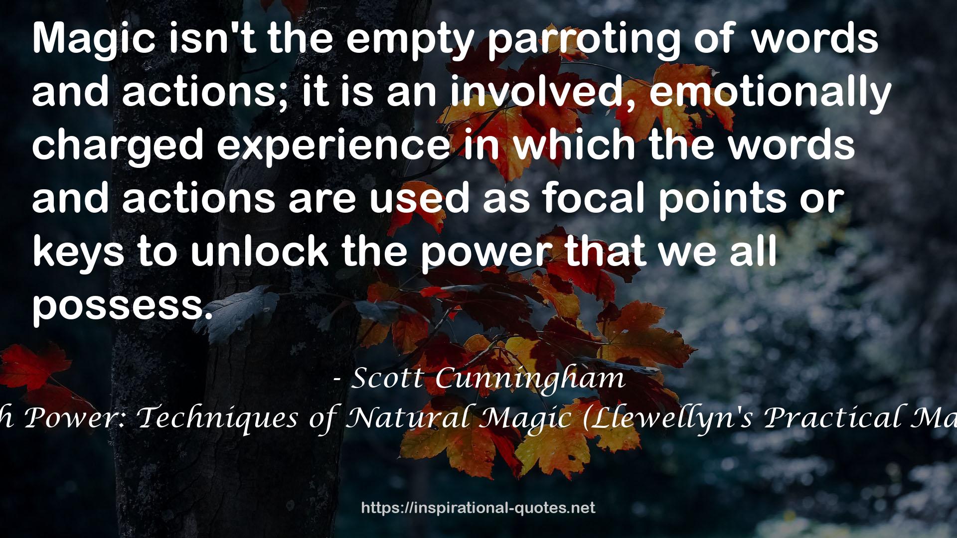 Earth Power: Techniques of Natural Magic (Llewellyn's Practical Magick) QUOTES