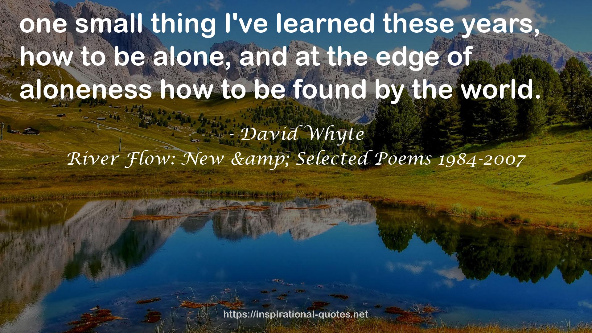River Flow: New & Selected Poems 1984-2007 QUOTES