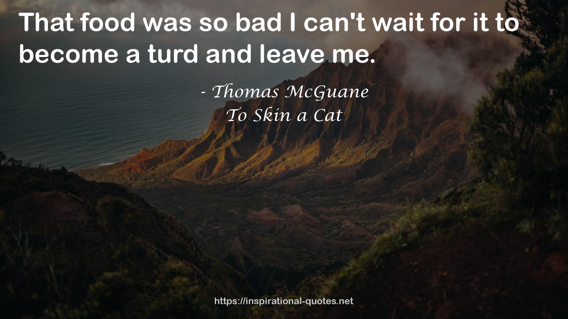 To Skin a Cat QUOTES