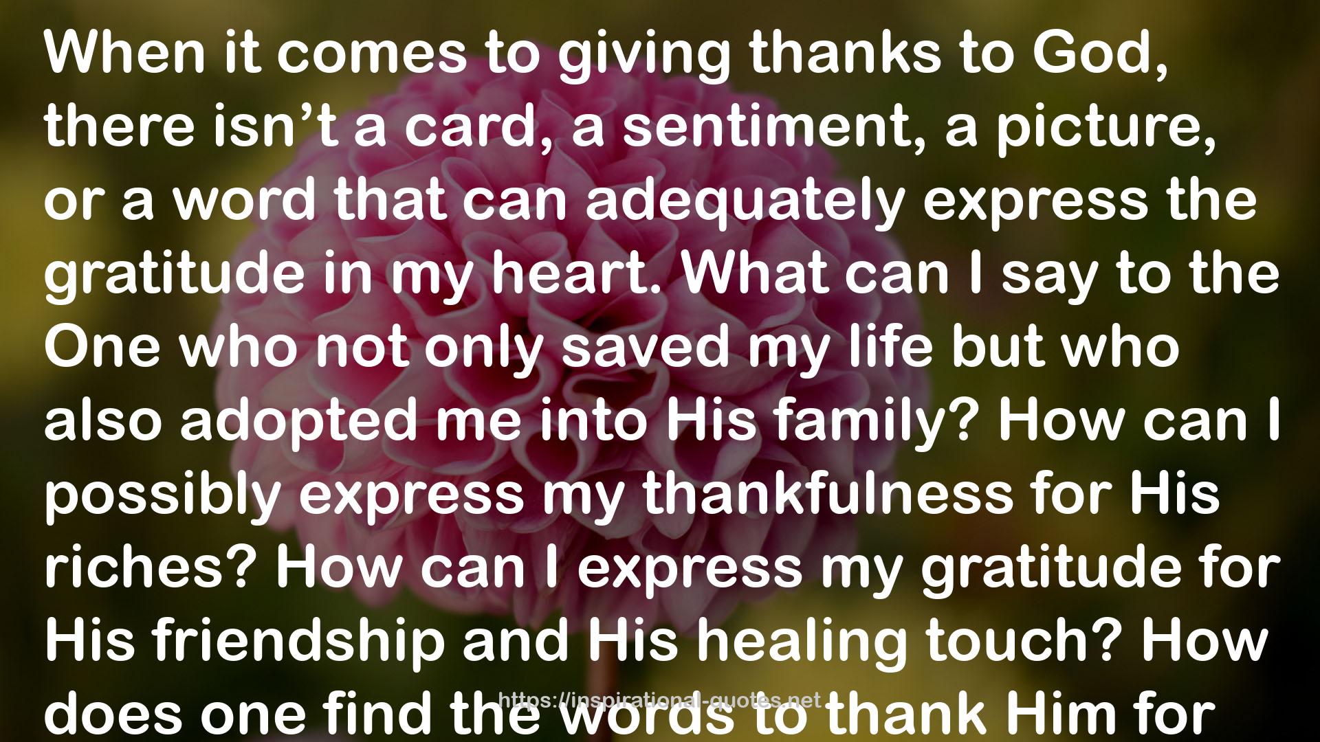 my thankfulness  QUOTES