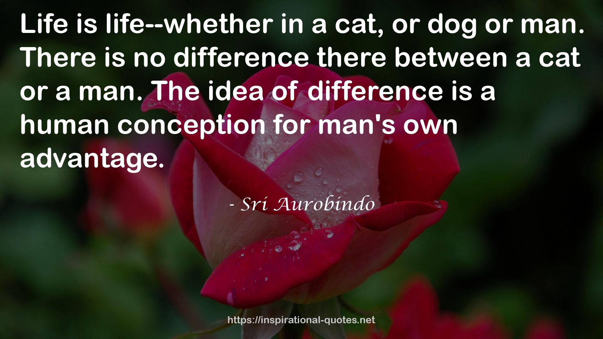 Sri Aurobindo QUOTES