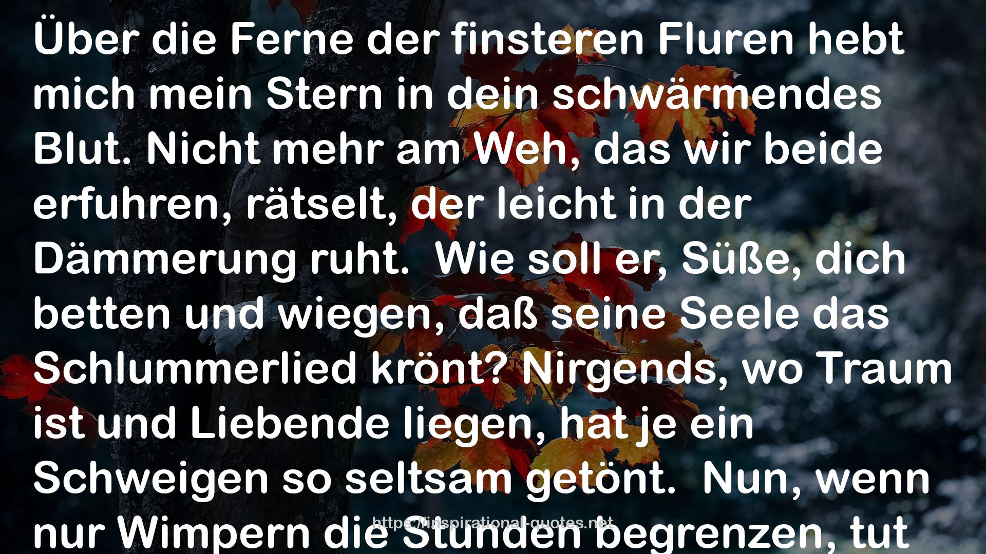 Die Gedichte QUOTES