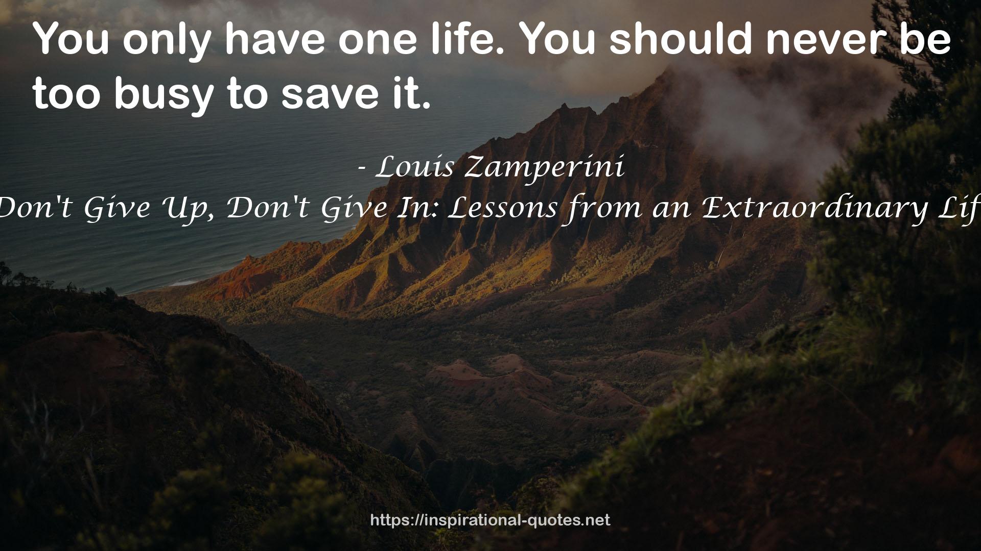 Don't Give Up, Don't Give In: Lessons from an Extraordinary Life QUOTES