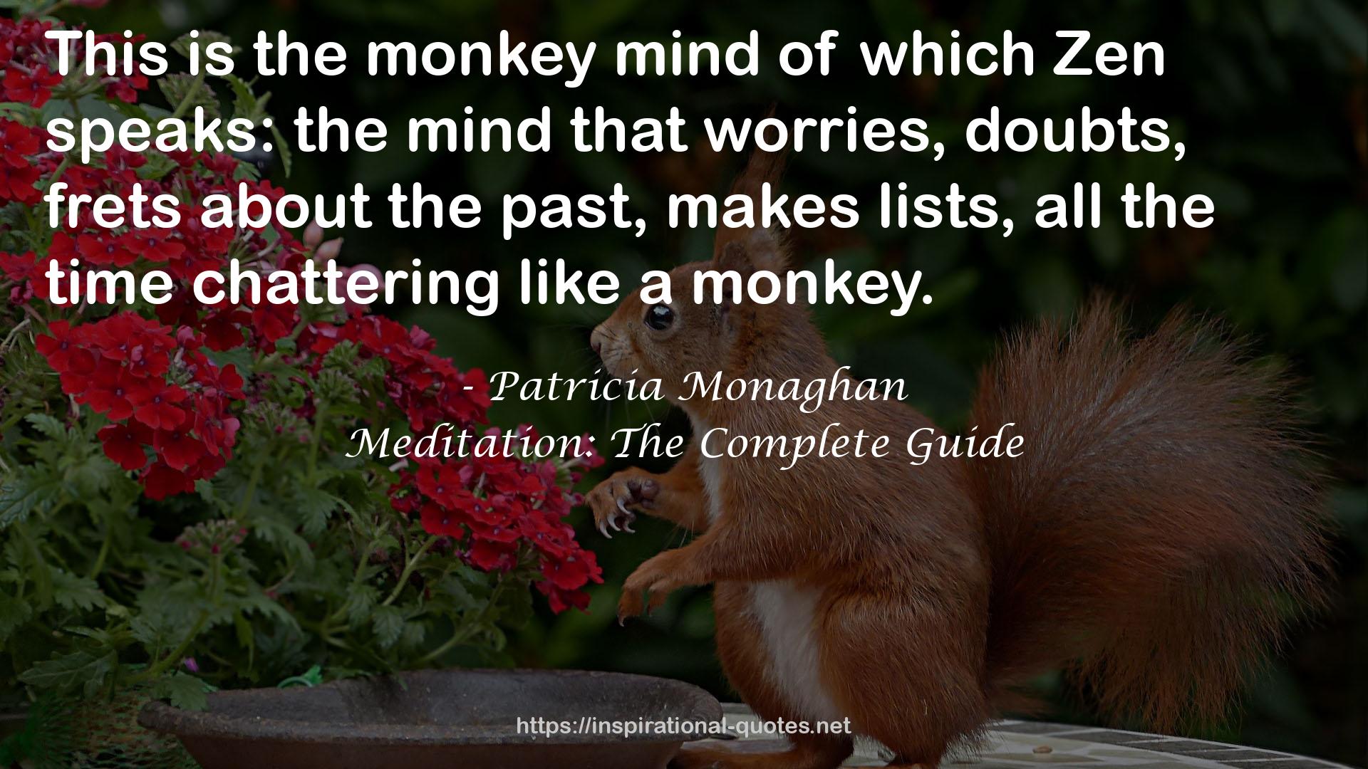 Meditation: The Complete Guide QUOTES