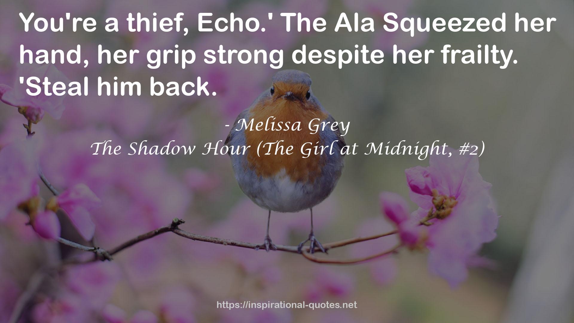 The Shadow Hour (The Girl at Midnight, #2) QUOTES