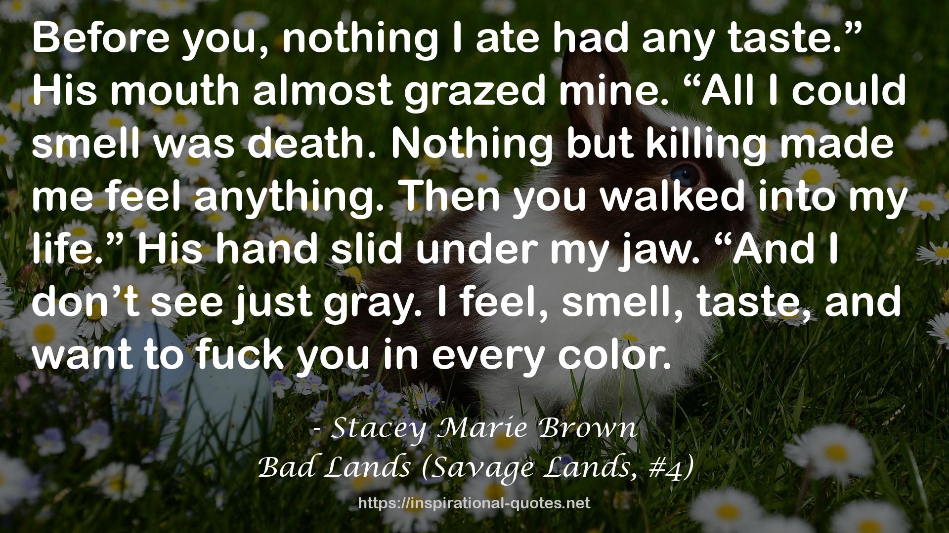 Bad Lands (Savage Lands, #4) QUOTES