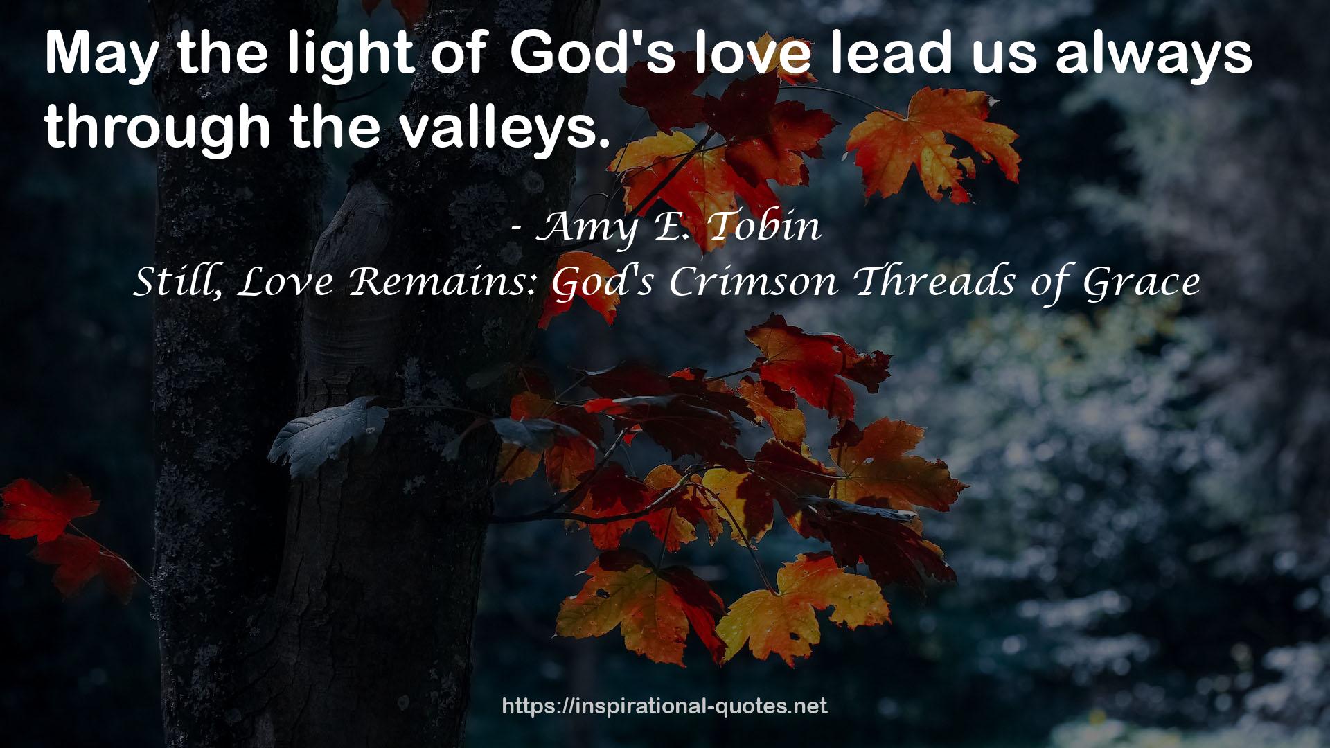 Still, Love Remains: God's Crimson Threads of Grace QUOTES