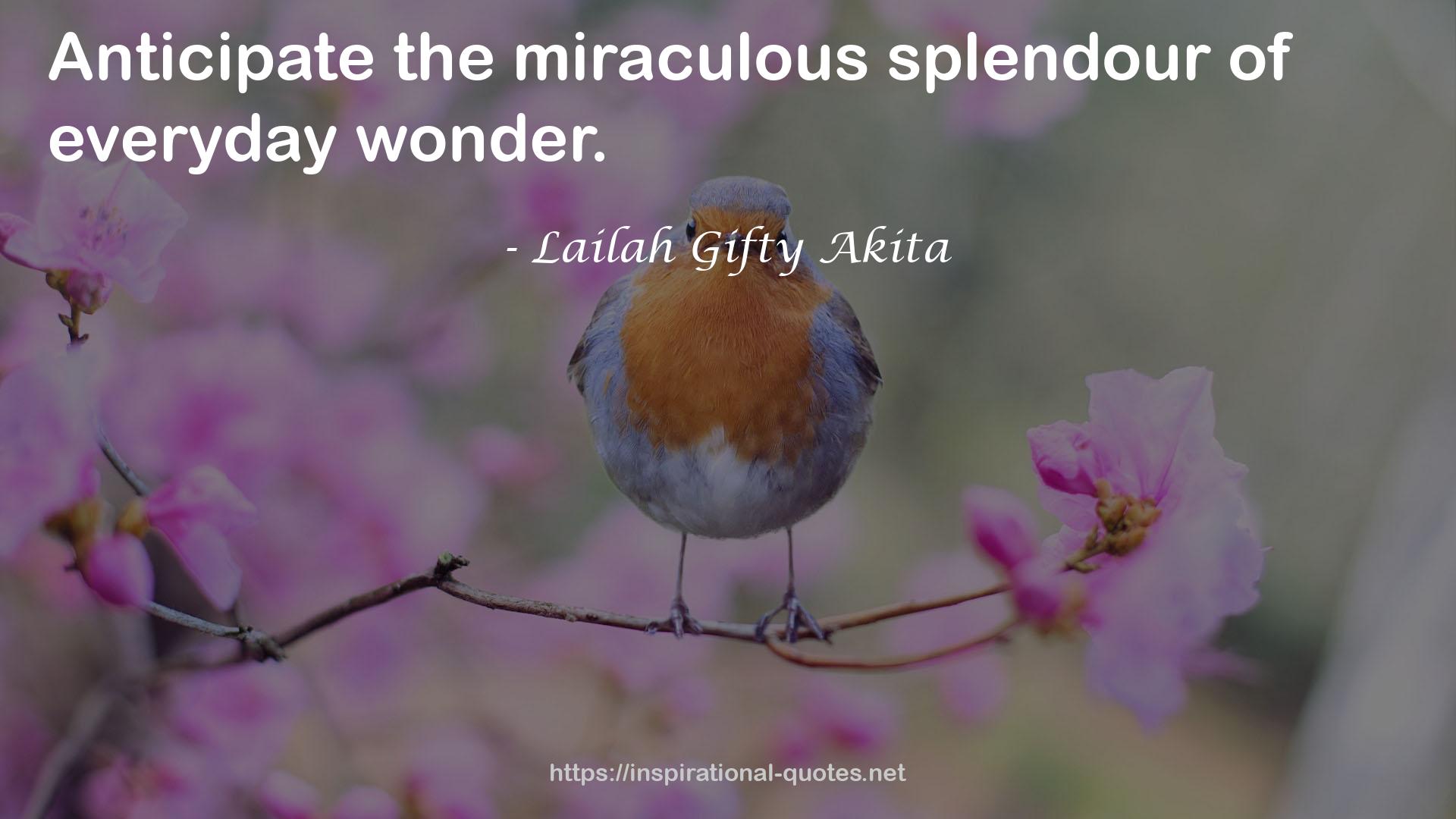 the miraculous splendour  QUOTES