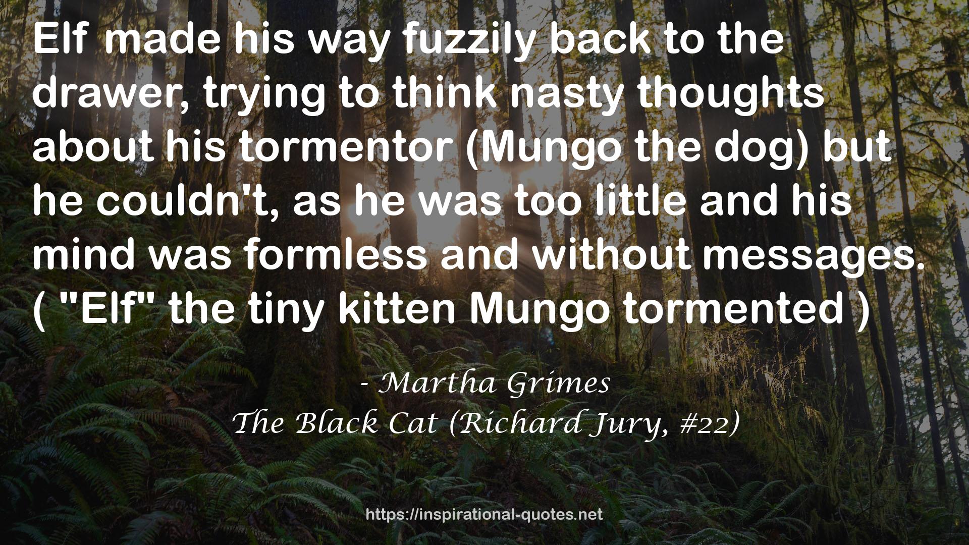 The Black Cat (Richard Jury, #22) QUOTES