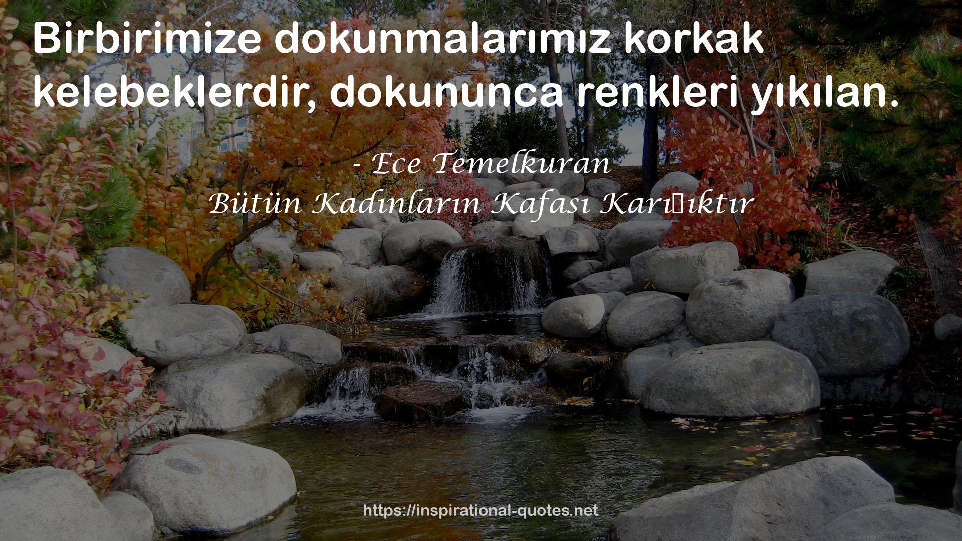 Bütün Kadınların Kafası Karışıktır QUOTES