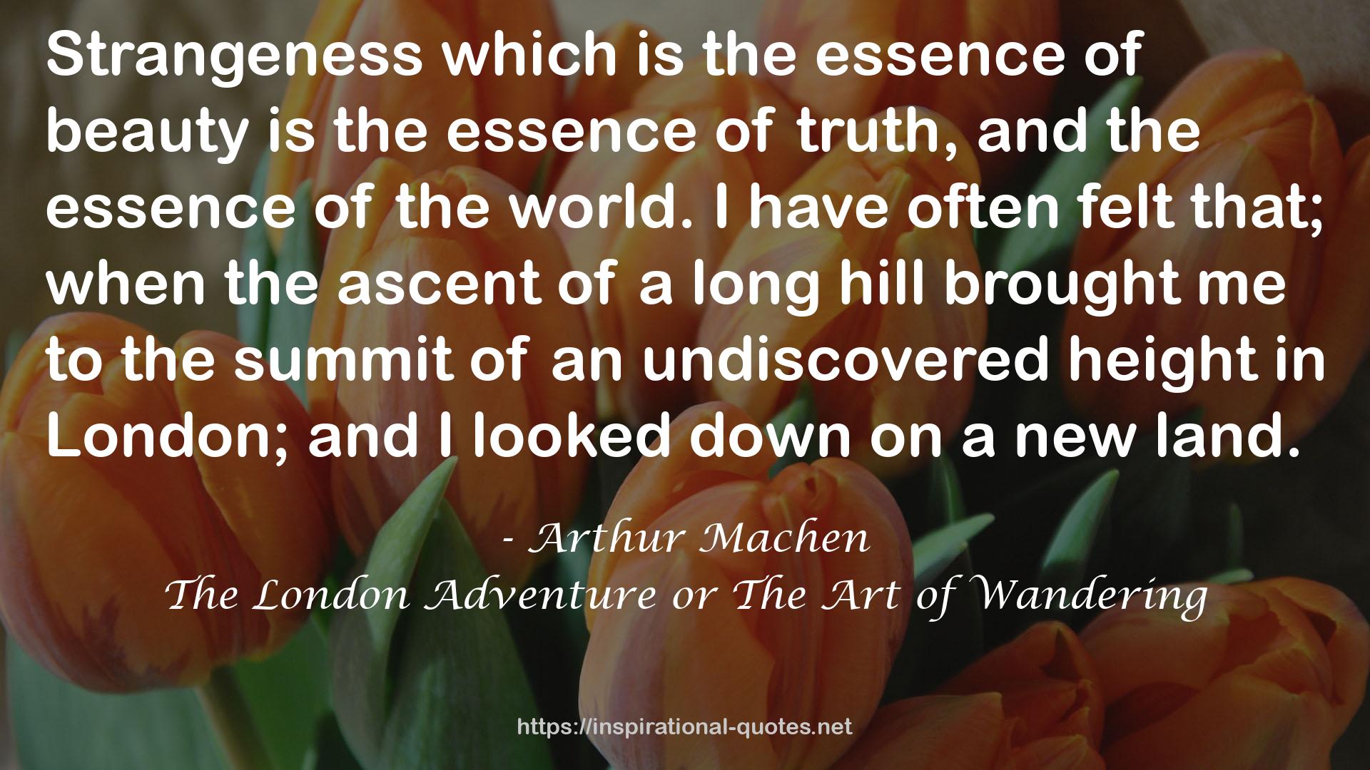 The London Adventure or The Art of Wandering QUOTES