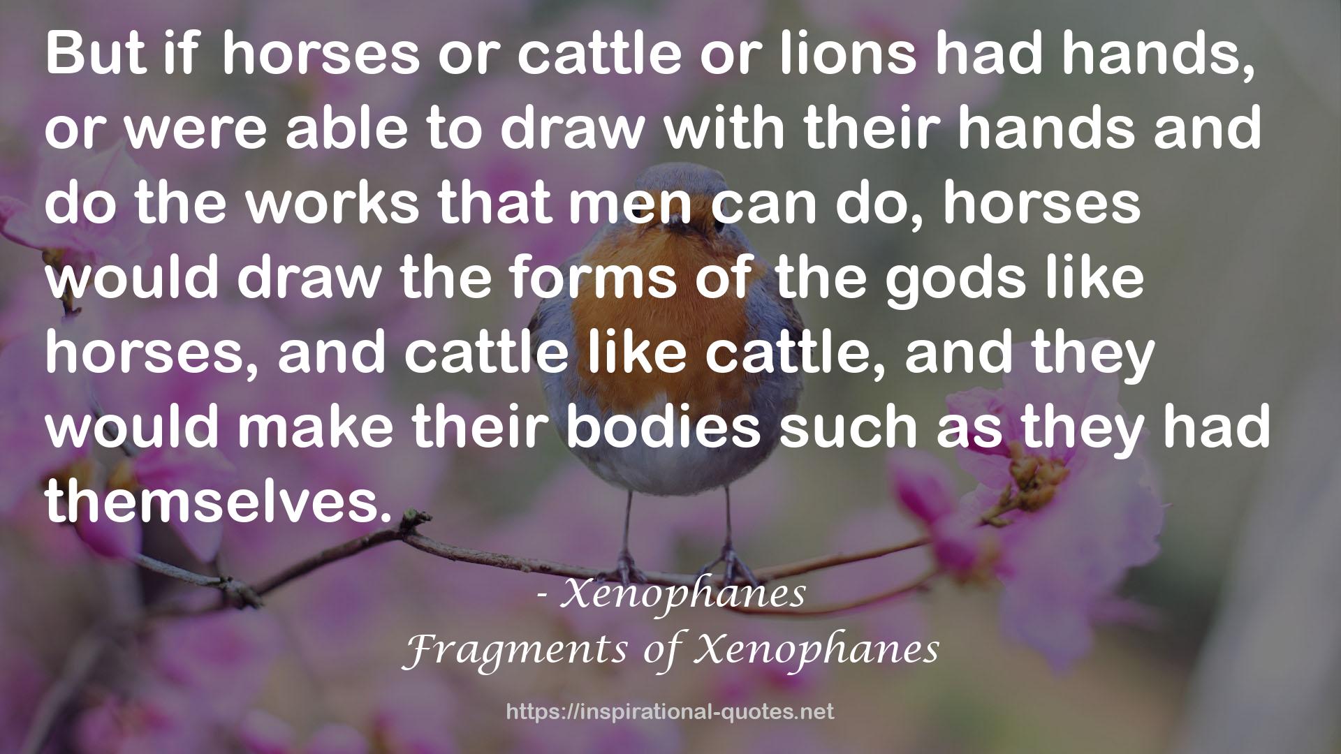 Fragments of Xenophanes QUOTES