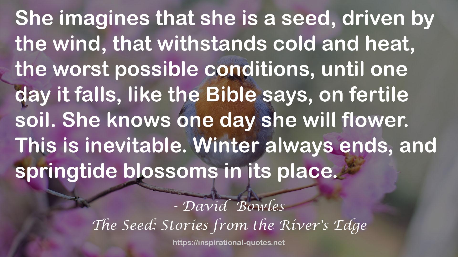 The Seed: Stories from the River's Edge QUOTES