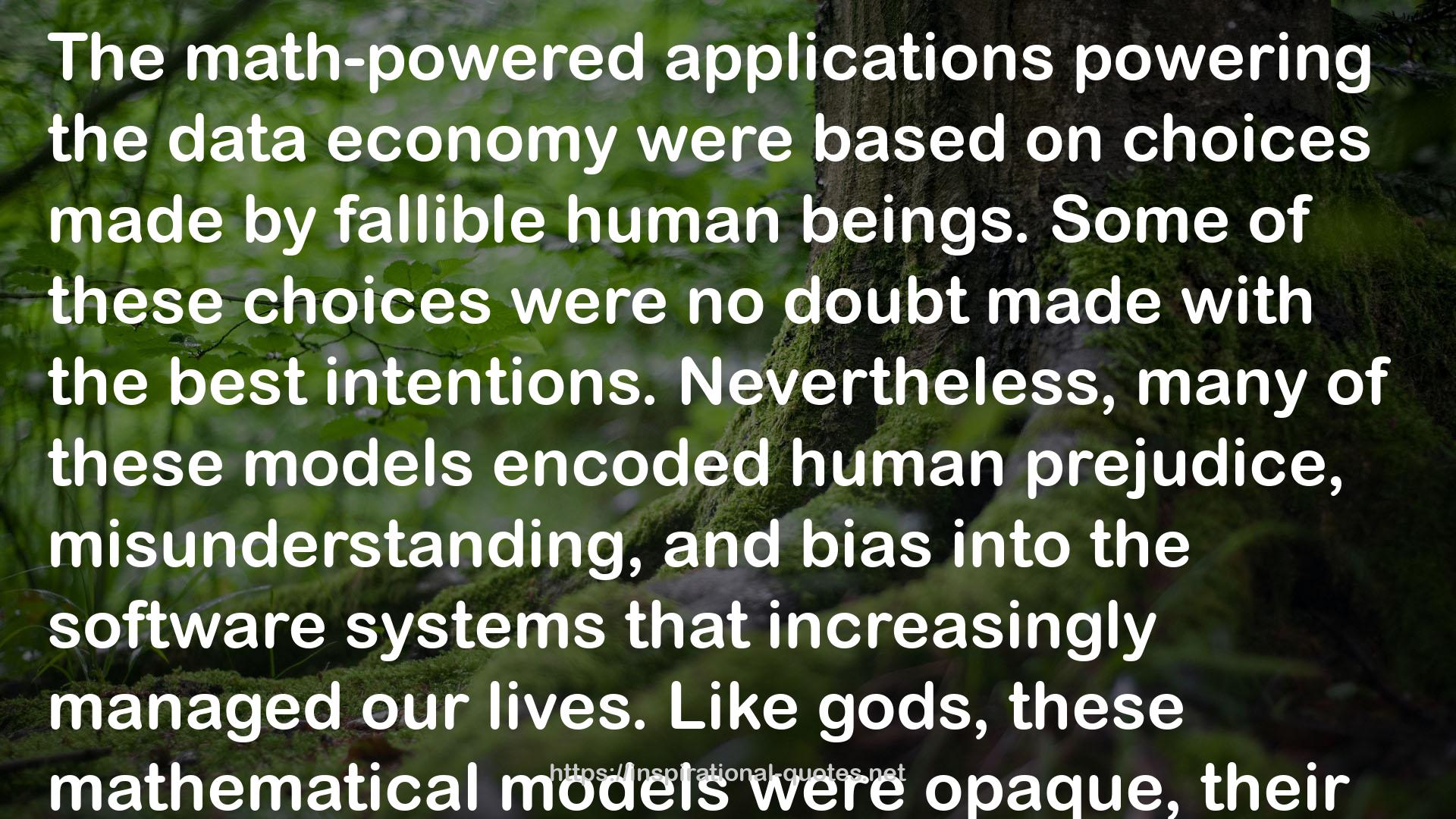 Weapons of Math Destruction: How Big Data Increases Inequality and Threatens Democracy QUOTES
