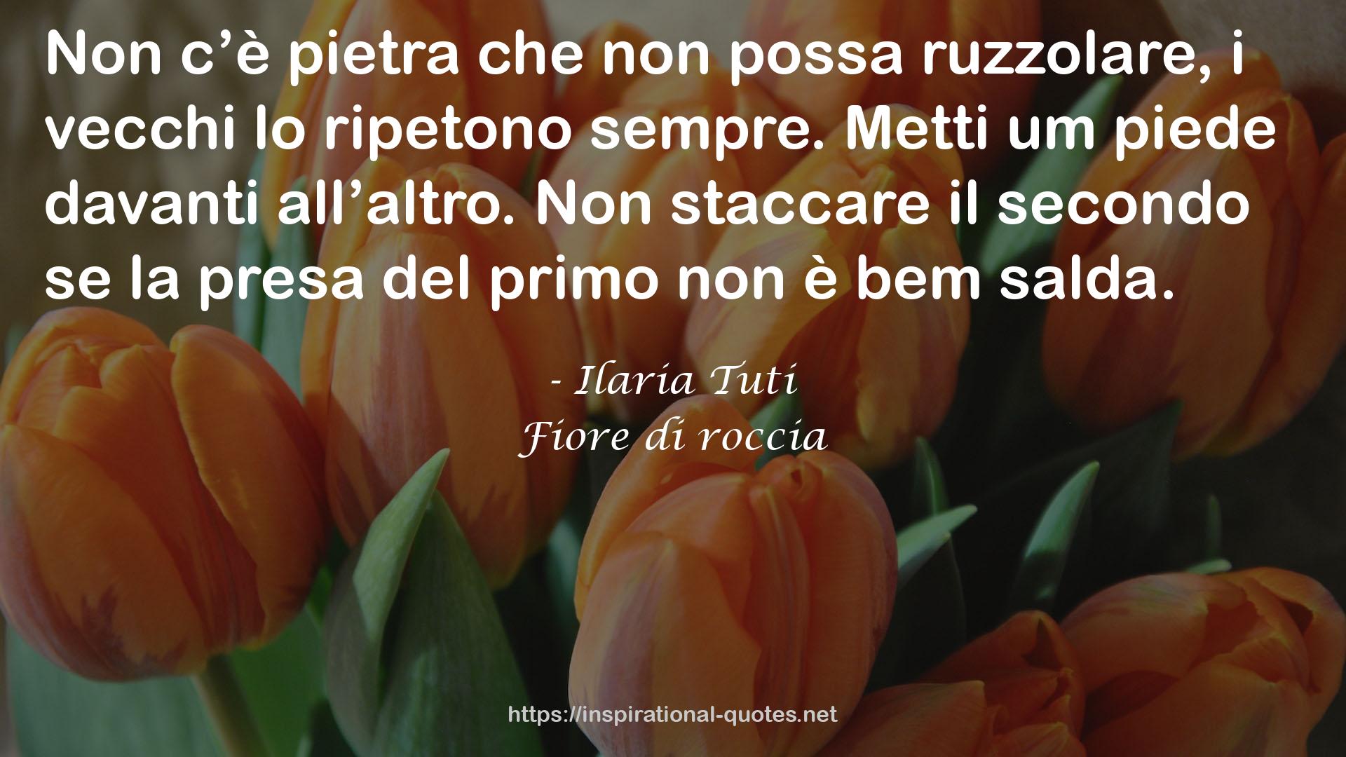 Fiore di roccia QUOTES