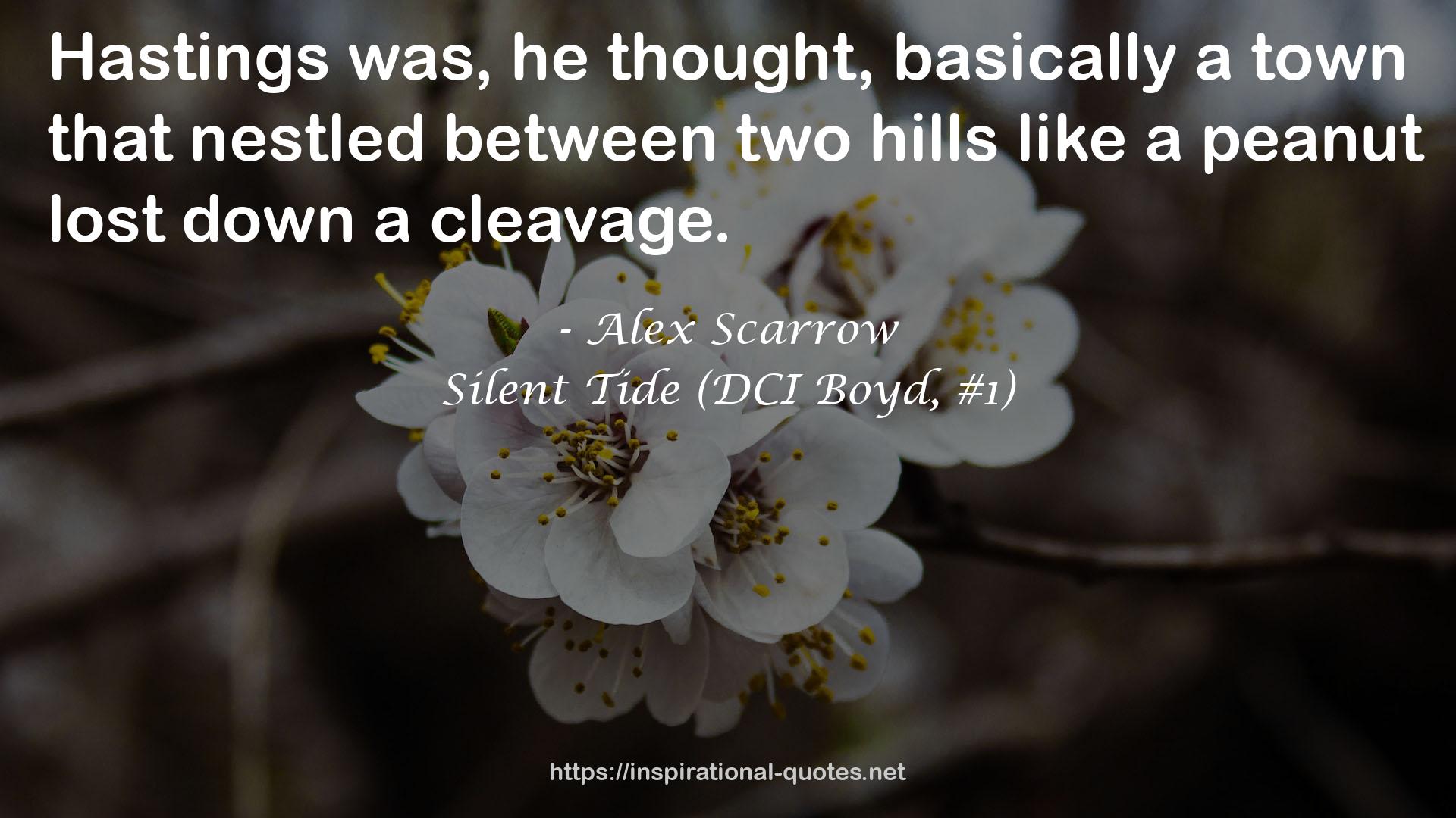 Silent Tide (DCI Boyd, #1) QUOTES