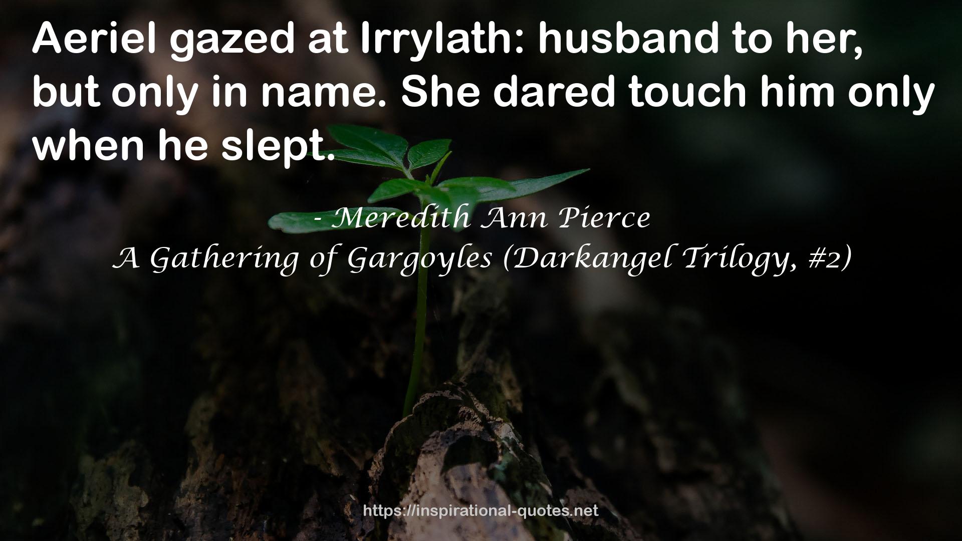 A Gathering of Gargoyles (Darkangel Trilogy, #2) QUOTES