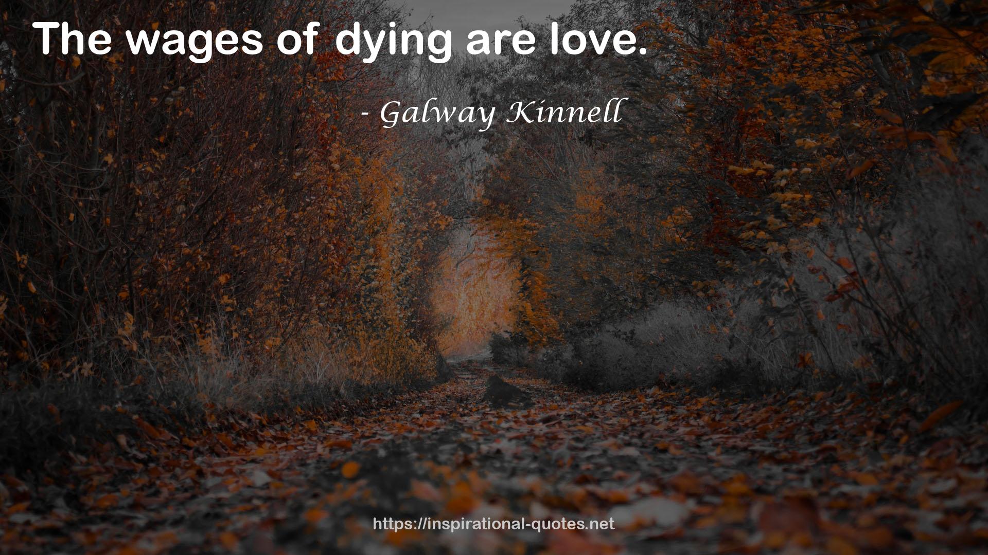 Galway Kinnell QUOTES