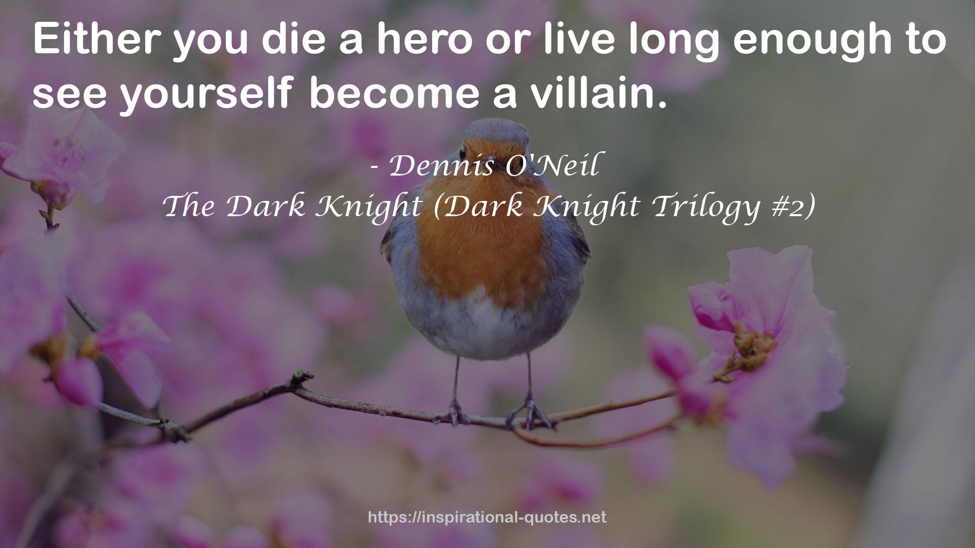 The Dark Knight (Dark Knight Trilogy #2) QUOTES