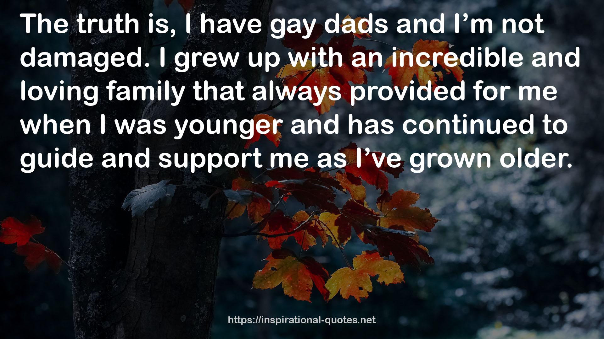 gay dads  QUOTES