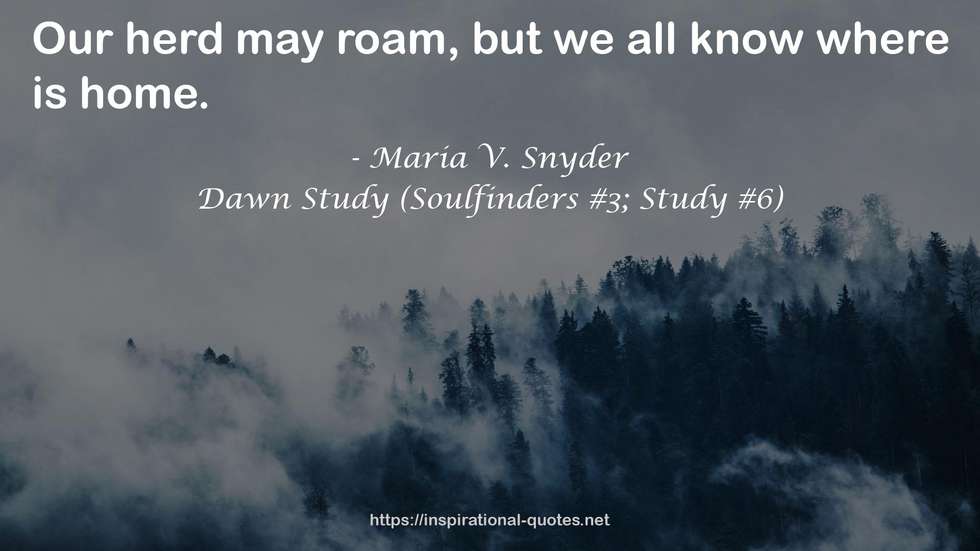 Dawn Study (Soulfinders #3; Study #6) QUOTES