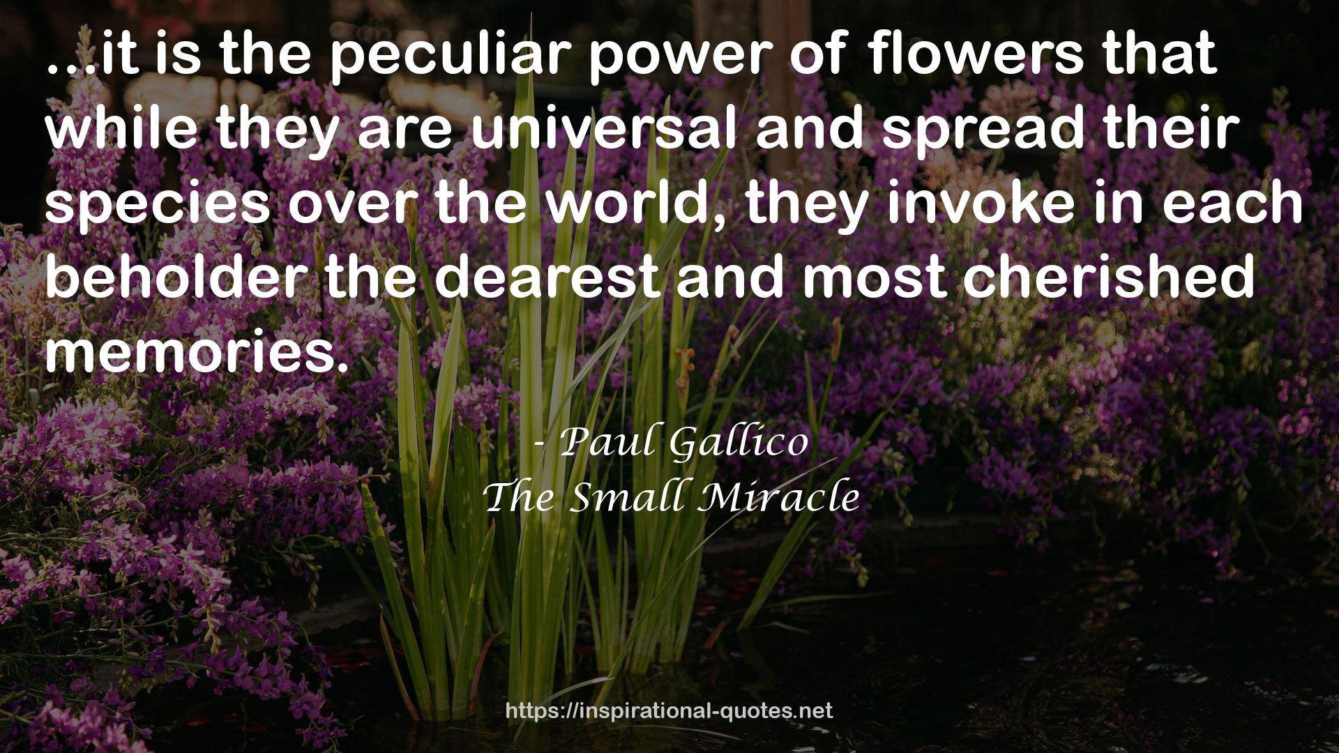 The Small Miracle QUOTES